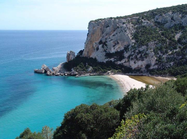 Daire Altomare Cala Gonone